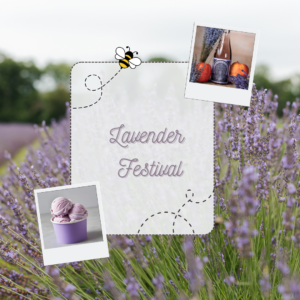 June 28 & 29, 2025 - Lavender Festival at Rebel Sheep Wine Co. (Chester, NJ)