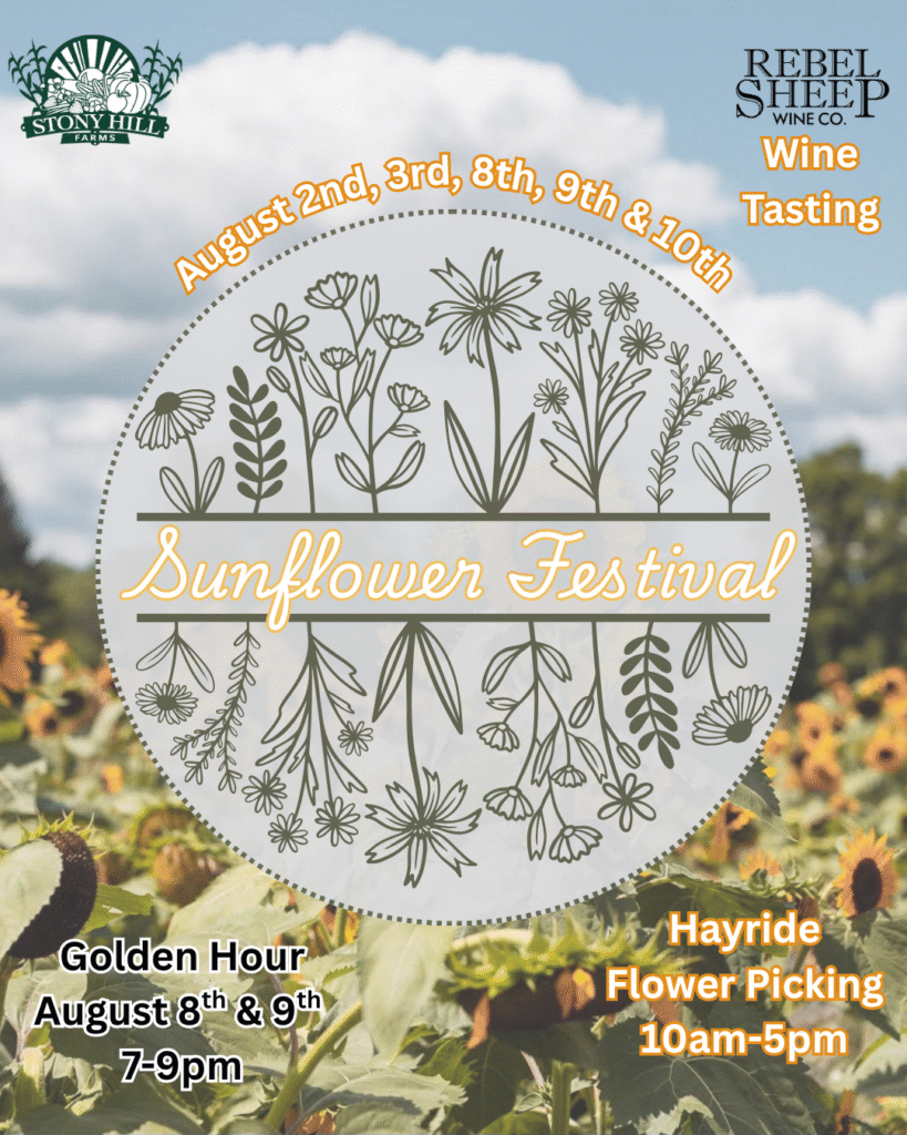 August 2, 3, 8, 9, 10 - Sunflower Festival at Rebel Sheep Wine Co. (Chester, NJ)