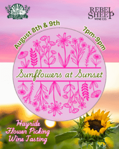 August 8 & 9 - Sunflower Golden Hour at Rebel Sheep Wine Co. (Chester, NJ)