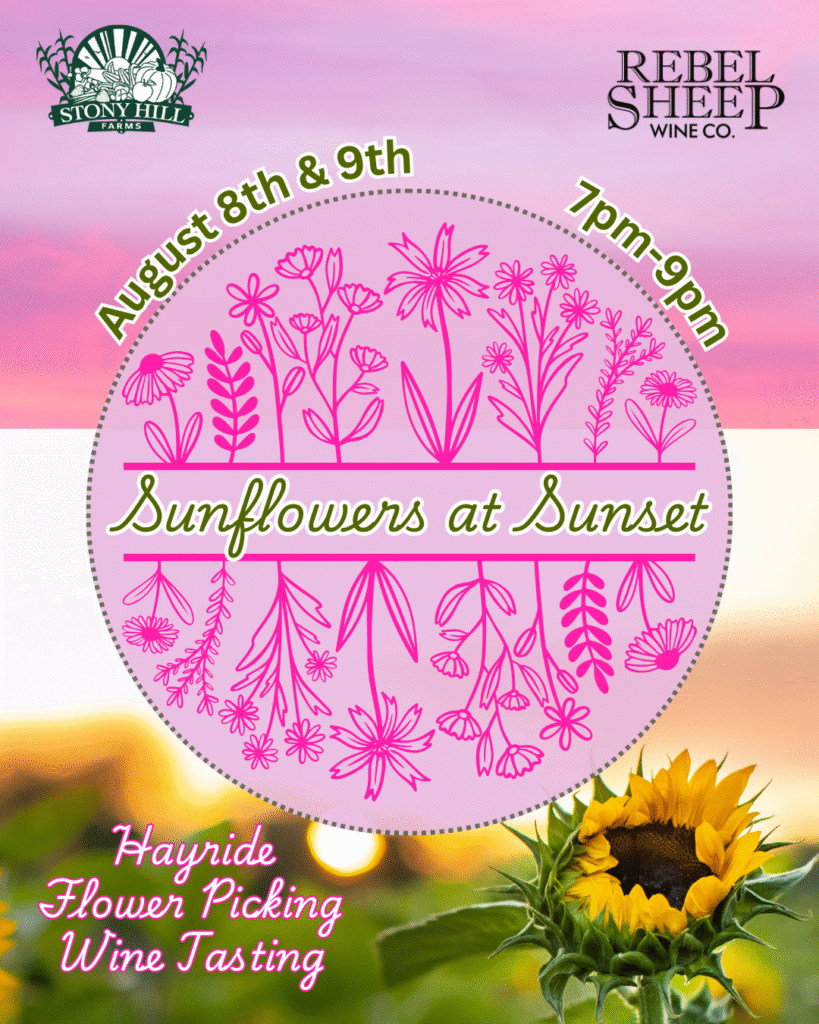 August 8 & 9 - Sunflower Golden Hour at Rebel Sheep Wine Co. (Chester, NJ)