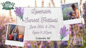 Lavender Sunset Festival at Stony Hill Farms (Chester, NJ) - June 26th & 27th