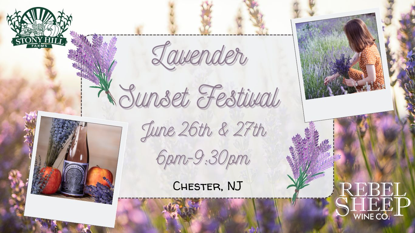 Lavender Sunset Festival at Stony Hill Farms (Chester, NJ) - June 26th & 27th