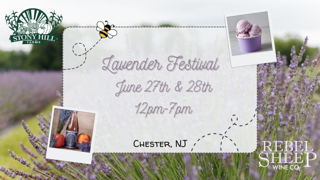 Lavender Festival at Stony Hill Farms (Chester, NJ) - June 27th & 28th