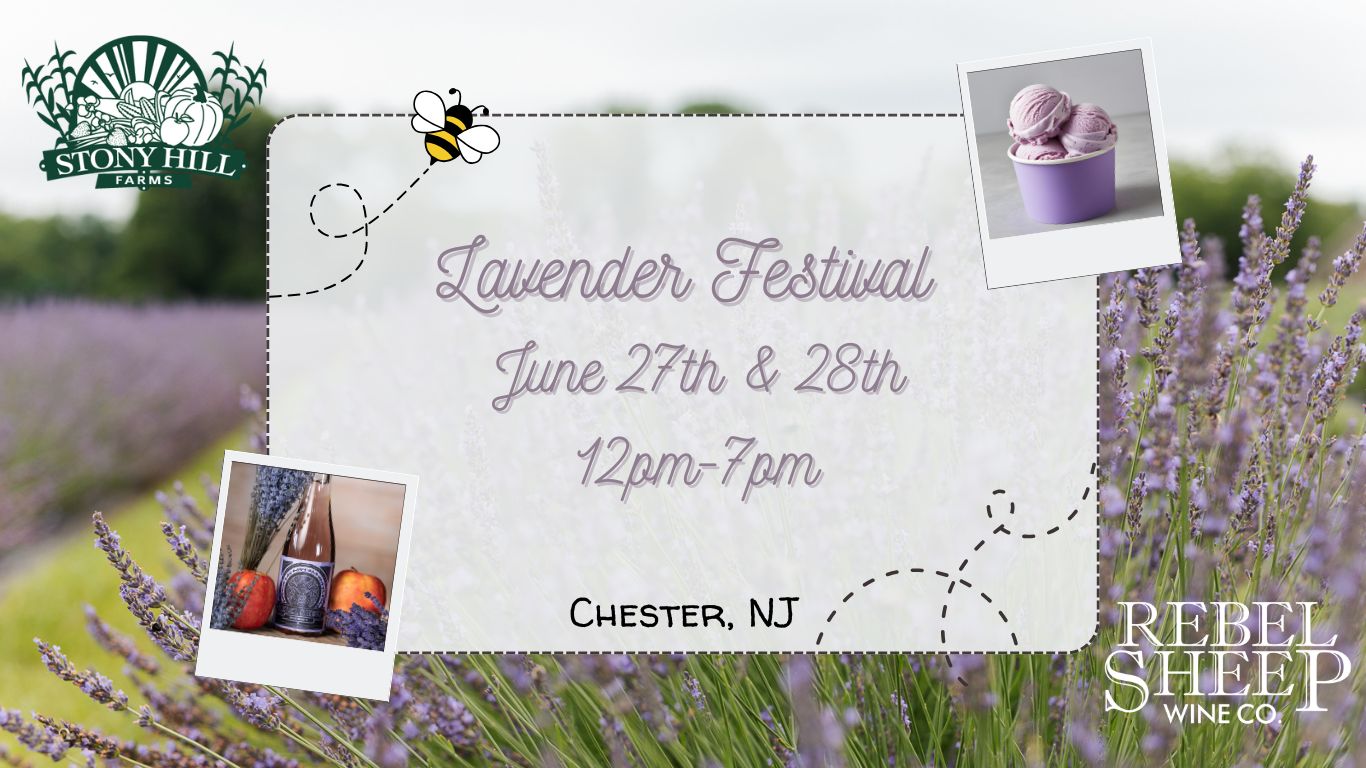 Lavender Festival at Stony Hill Farms (Chester, NJ) - June 27th & 28th