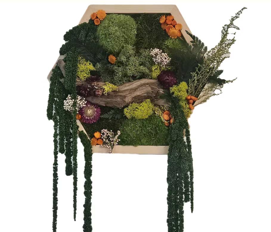 Moss project