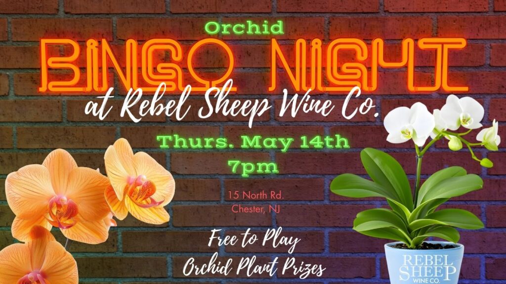 Orchid Bingo Night at Rebel Sheep Wine Co. - May 14, 2026