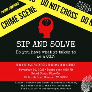 Event: Sip & Solve at Rebel Sheep Wine Co. (Nov 14, 2025)