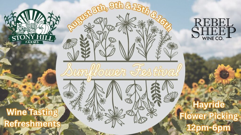 Sunflower Festival 2026 at Stony Hill Farms (Chester, NJ)