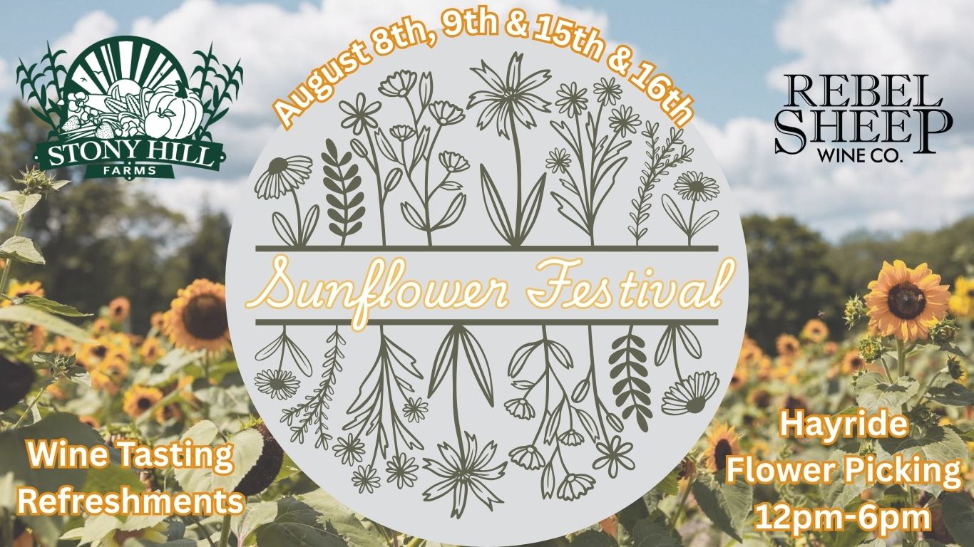 Sunflower Festival 2026 at Stony Hill Farms (Chester, NJ)